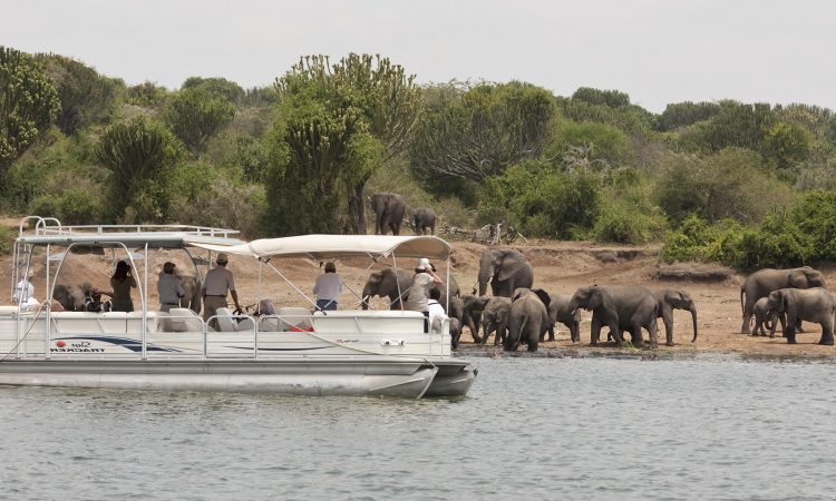 5-Day Uganda Gorilla and Chimpanzee Safari