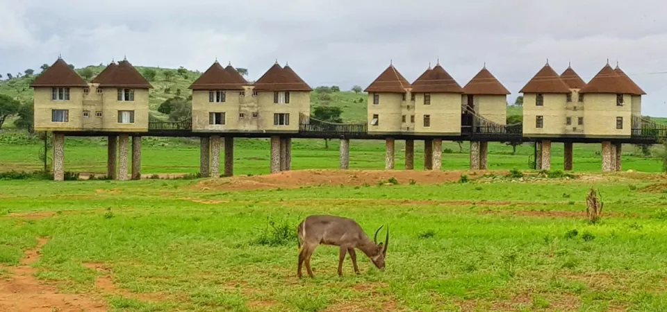 Taita Hills