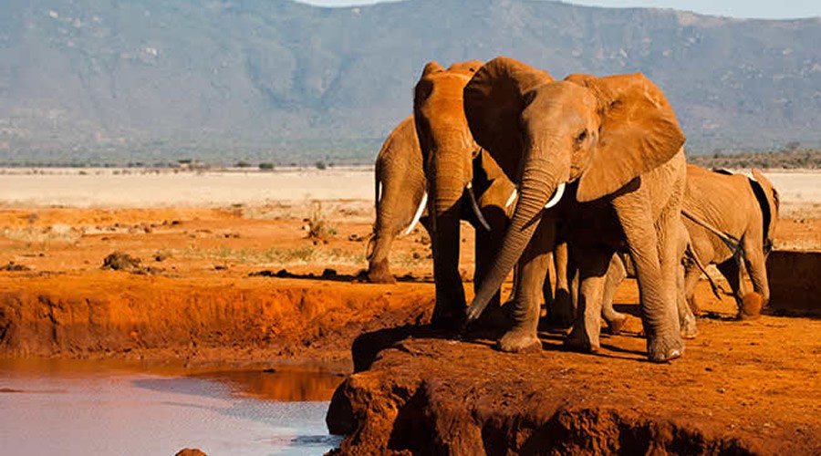 Tsavo East