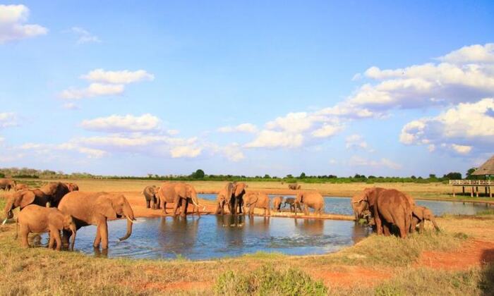 Tsavo East