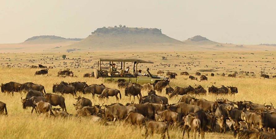 Serengeti