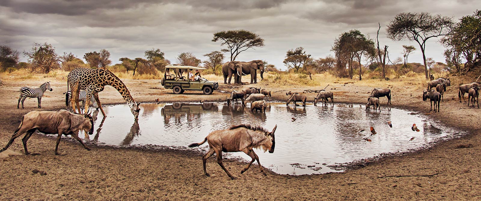 4-Day Serengeti and Ngorongoro Camping Safari