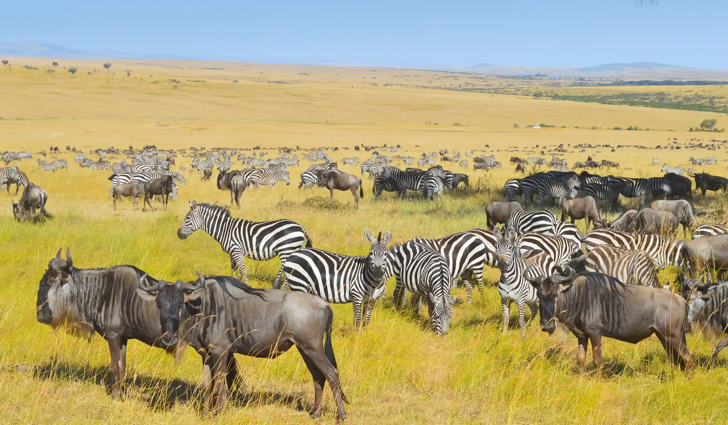 5-Day Great Migration and Mara River Crossing