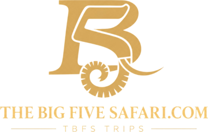 The Big Five Safaris